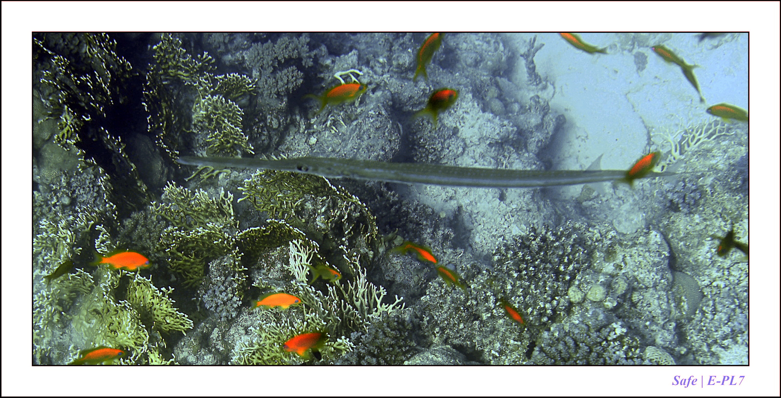 Hurghada - Juillet 2021 - 021